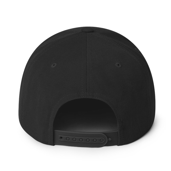 Co-Pilot Snapback Hat