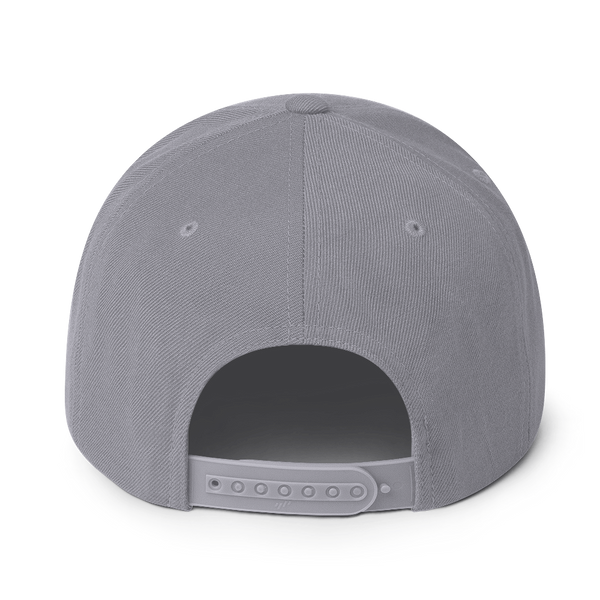 Co-Pilot Snapback Hat